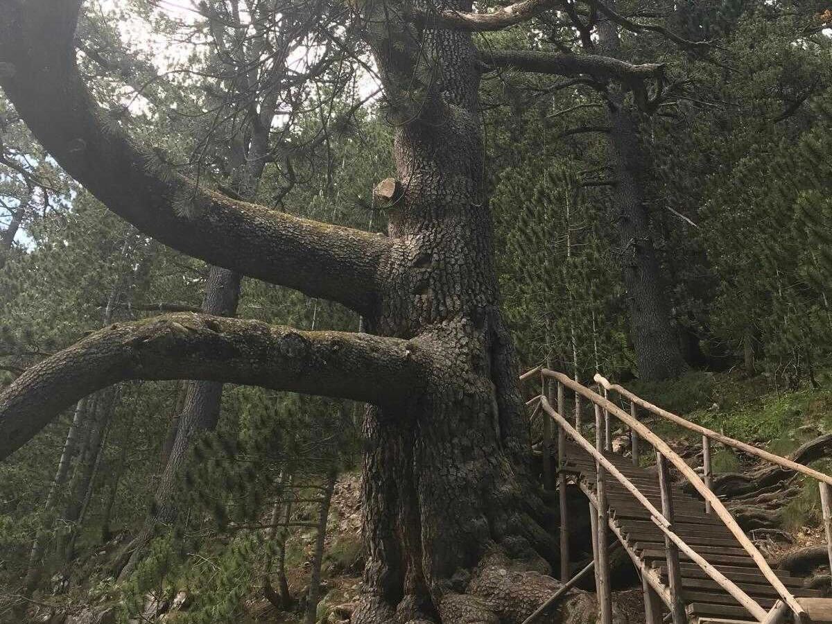 Activities in Bansko